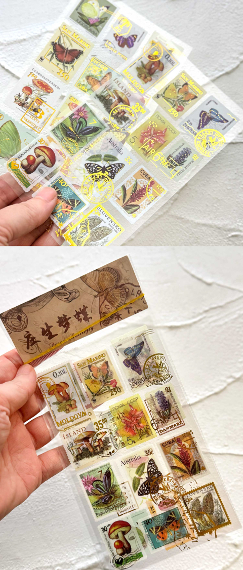 参考画像