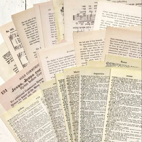 参考画像