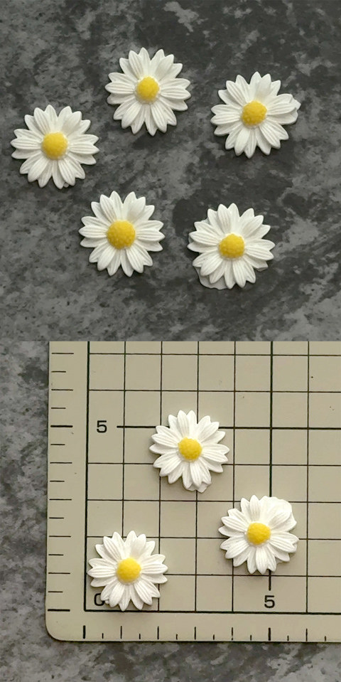 参考画像